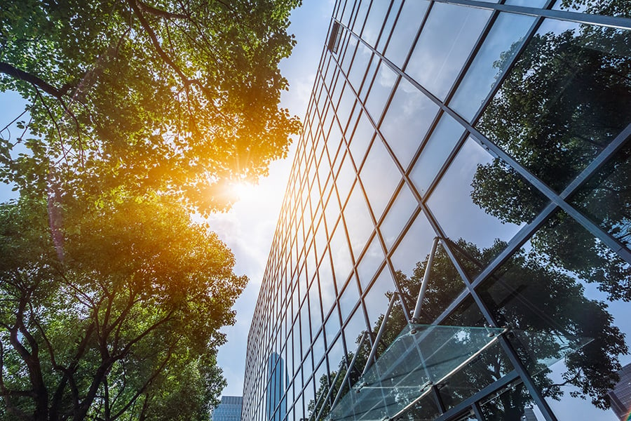 5 Ways to Make a Greener Office Space