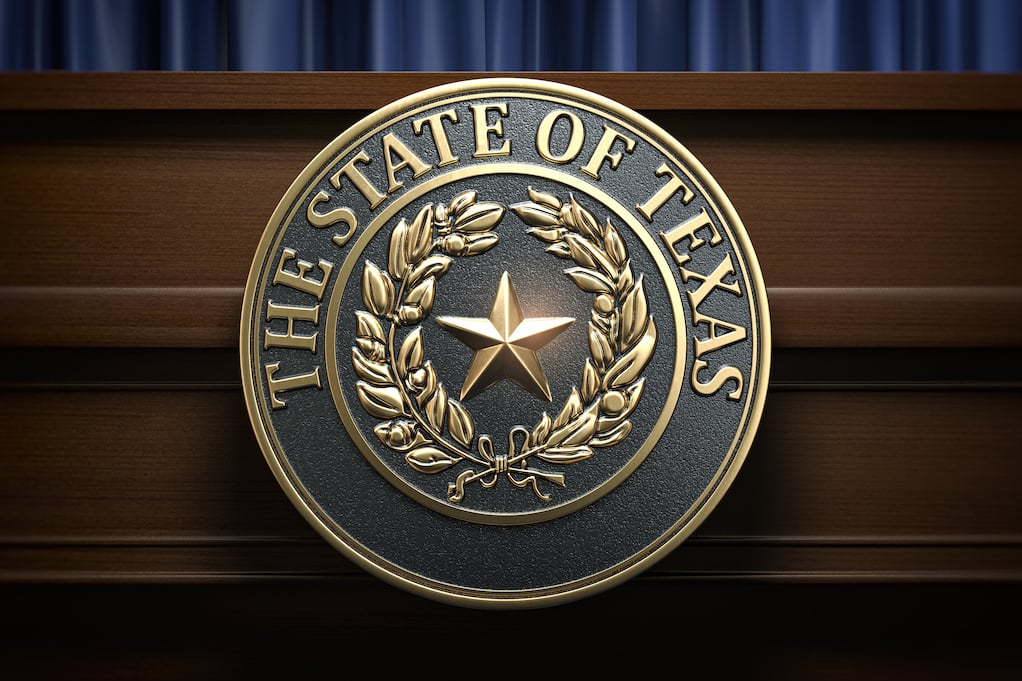 texas government